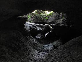 Grotta Carsica